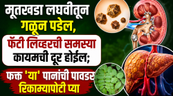 मूतखडा लघवीतून गळून पडेल, फॅटी लिव्हरची समस्या कायमची दूर होईल; फक्त ‘या’ पानांची पावडर रिकाम्यापोटी प्या