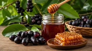 NCL Pune Jamun Honey Research | Mahabaleshwar Jamun Honey Benefits Diabetes | Dr Ashish Lele NCL Director | Indian Scientific Authentication Of Honey Quality