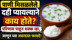 पाणी मिसळलेले दही प्यायल्याने काय होते? परिणाम पाहून थक्क व्हा, जाणून घ्या जबरदस्त फायदे