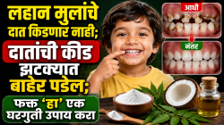 लहान मुलांचे दात किडणार नाही; दातांची कीड झटक्यात बाहेर पडेल; फक्त ‘हा’ एक घरगुती उपाय करा