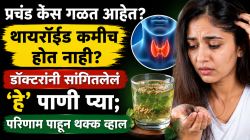 प्रचंड केस गळत आहेत? थायरॉईड कमीच होत नाही? डॉक्टरांनी सांगितलेलं ‘हे’ पाणी प्या; परिणाम पाहून थक्क व्हाल