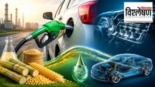 Ethanol 20 petrol impact on car mileage | E20 fuel engine damage risk india | Indian vehicle owners mileage drop report | Government ethanol blending policy effects