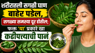 Curry Leaves Benefits For Women