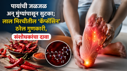Diabetes Neuropathy: लाल मिरचीतील हे खास तत्व पायांच्या मुंग्या अन् वेदनेपासून देते आराम, संशोधनातून समोर आली माहिती