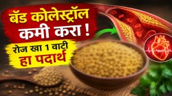 नसांमध्ये साचलेले खराब कोलेस्ट्रॉल झटक्यात होईल कमी; फक्त १ वाटी खा ‘ही’ डाळ; नसा स्वच्छ राहून हार्ट अटॅकचा धोका होऊ शकेल कमी