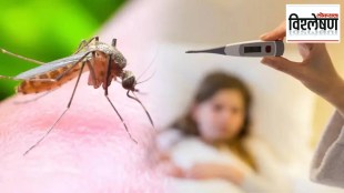 Climate Change Chikungunya Risk Study
