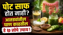 सकाळी पोट साफ होत नाही? आतड्यांतील साचलेली घाण काढण्यासाठी वापरा ‘हे’ ७ सोपे घरगुती उपाय
