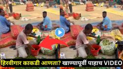 आता काय विषच खाऊ घालणार का? बाजारातून हिरवीगार काकडी आणता? खाण्यापूर्वी पाहाच एकदा ‘हा’ VIDEO; घेताना कराल १० वेळा विचार!
