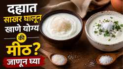 दह्यात साखर घालून खाणे योग्य की मीठ? शरीरासाठी काय फायदेशीर, जाणून घ्या