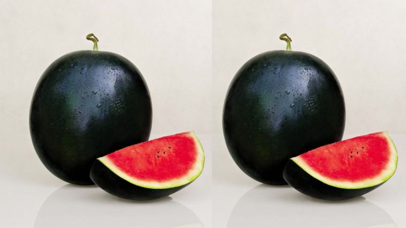 Densuke Watermelon