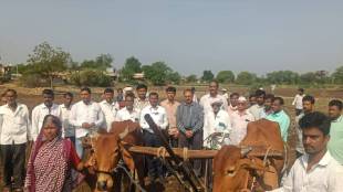 CM Devendra Fadnavis helps Latur farmer Kashinath Gaikwad | Latur Bombli Khurd farmer gets new bullock after lightning strike | Maharashtra government financial aid for livestock death | Latur District Collector Dr Bharat Bastewad hands over bullock to Gaikwad family