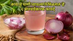 कांद्याचे पाणी प्यायल्याने मिळतात ‘हे’ ६ आश्चर्यकारक फायदे; जाणून घ्या बनवण्याची सोपी पद्धत
