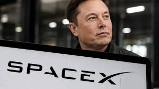 Elon Musk SpaceX shares options trading record | SpaceX stock market performance IPO price | World top 5 most valuable companies Amazon Microsoft | SpaceX gamma squeeze call options trend