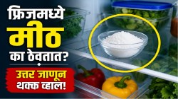 फ्रिजमध्ये वाटीभर मीठ ठेवतात, पण का? फ्रिजमध्ये मीठ ठेवल्यानं नेमकं काय होतं, कारण समजलं तर तुम्हीही करून पाहाल भन्नाट घरगुती उपाय