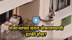 वृद्धाचा धक्कादायक कारनामा! शेजाऱ्यांच्या घरात डोकावण्यासाठी टाकला जीव धोक्यात? इमारतीच्या खिडकीतून…..Viral Video पाहून संतापले नेटकरी