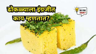 What is Dhokla in English