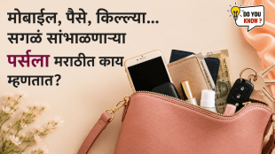 purse-in-marathi-meaning-history-fashion