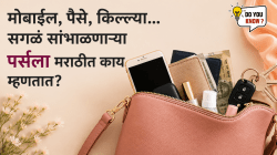 पर्स तर रोज वापरता, पण मराठीत तिला काय म्हणतात हे माहिती आहे का?