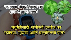 मधुमेहावर रामबाण उपाय की फक्त दावा? स्टीव्हिया, गुडमार आणि इन्सुलिनच्या पानांबाबत काय सांगताच तज्ज्ञ?