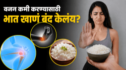 डाएटच्या नादात भात सोडताय? हाडं, स्नायू आणि ऊर्जा यांच्यावर होऊ शकतो गंभीर परिणाम