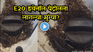 Do Ants Love Ethanol in Petrol Fact Check on E20 and Viral Video of Ants Swarming Fuel Tank