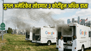 Google Debug Project labs creating Wolbachia bacteria infected mosquitoes | Google release 3 crore mosquitoes in US California Florida for dengue control | गुगल डिबग प्रकल्प अंतर्गत प्रयोगशाळेत तयार केलेले डास | डेंग्यू आणि झिका आजार नियंत्रणासाठी गुगल सोडणार ३ कोटी डास