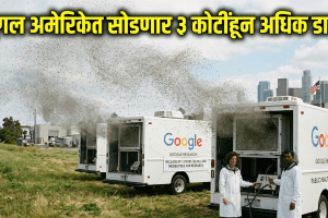 Google Debug Project labs creating Wolbachia bacteria infected mosquitoes | Google release 3 crore mosquitoes in US California Florida for dengue control | गुगल डिबग प्रकल्प अंतर्गत प्रयोगशाळेत तयार केलेले डास | डेंग्यू आणि झिका आजार नियंत्रणासाठी गुगल सोडणार ३ कोटी डास