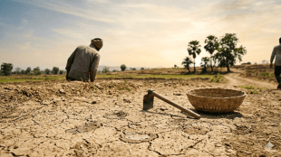 Thane farmers kharif crop sowing guidelines | Maharashtra rain updates and el nino impact on agriculture | Rameshwar Pache Thane district agriculture officer advisory | Konkan agriculture university paddy cultivation techniques