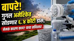 Google Mosquito Mission