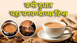 कमी दुधात चहा कसा बनवायचा? पावडर आणि पाण्याचे अचूक प्रमाण ठेवा लक्षात; चहा होईल एकदम परफेक्ट