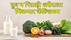दूध न पिताही शरीराला मिळेल भरपूर कॅल्शियम; ‘या’ ४ फळ-भाज्यांमध्ये आहे कॅल्शियमचा साठा, सेवनाची पद्धतही जाणून घ्या
