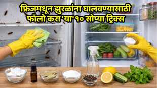 How to get rid of cockroaches in refrigerator