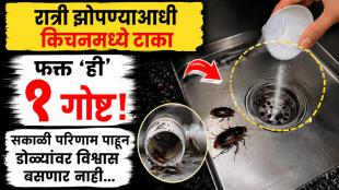 How to get rid of cockroaches overnight cockroach remedy to remove cockroach baking soda vinegar in kitchen sink