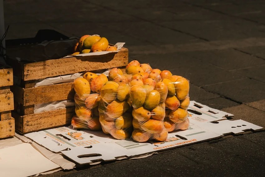 Japan banned Indian mangoes reason