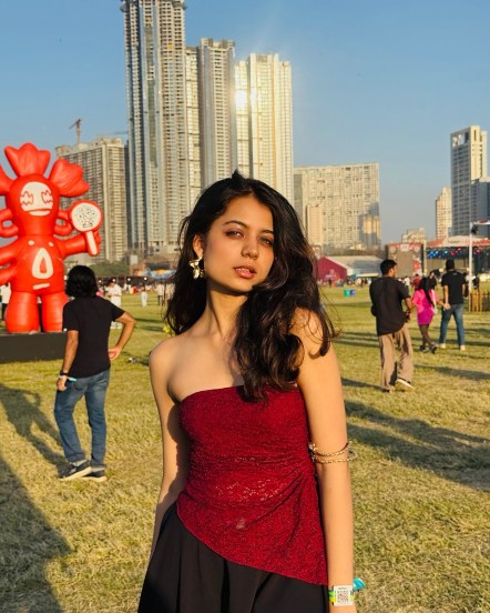 जाई सध्या 'स्टार प्रवाह'वरील 'आनंदी' या मालिकेत मुख्य नायिकेच्या भूमिकेत झळकत आहे. यामध्ये ती आनंदी या अंध मुलीची भूमिका साकारत असून तिच्या अभिनयाचं अनेक जण कौतुक करत आहेत.