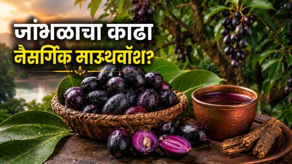Jambubala health benefits for diabetes