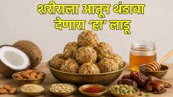 शरीराला आतून थंडावा देणारा ‘हा’ लाडू; अशक्तपणा आणि डिहायड्रेशनपासून मिळेल आराम; खाण्याची पद्धत व रेसिपी नीट बघा
