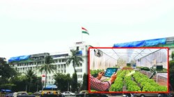 महाॲग्री एआय धोरणाला गती; राज्य सरकारने घेतला महत्वाचा निर्णय