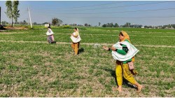 महिलांना आता शेतकऱ्यांचा दर्जा; महिलांच्या सबलीकरणासाठी विशेष निधीची स्थापना