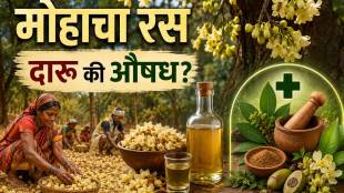 Mahua Tree Benefits