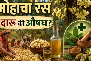 Mahua Tree Benefits