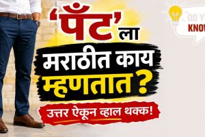 Marathi word for pant Vijar meaning and language knowledge article