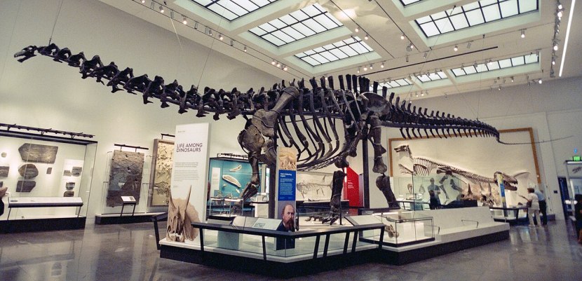 Dinosaur fossils discovery showing evolution of life history | Ancient dinosaur skeleton excavation process in desert | डायनासोर जीवाश्म आणि जीवसृष्टीची उत्क्रांती इतिहास | पुराजीवशास्त्रज्ञ उत्खनन आणि प्राचीन अश्मीभूत अवशेष शोध