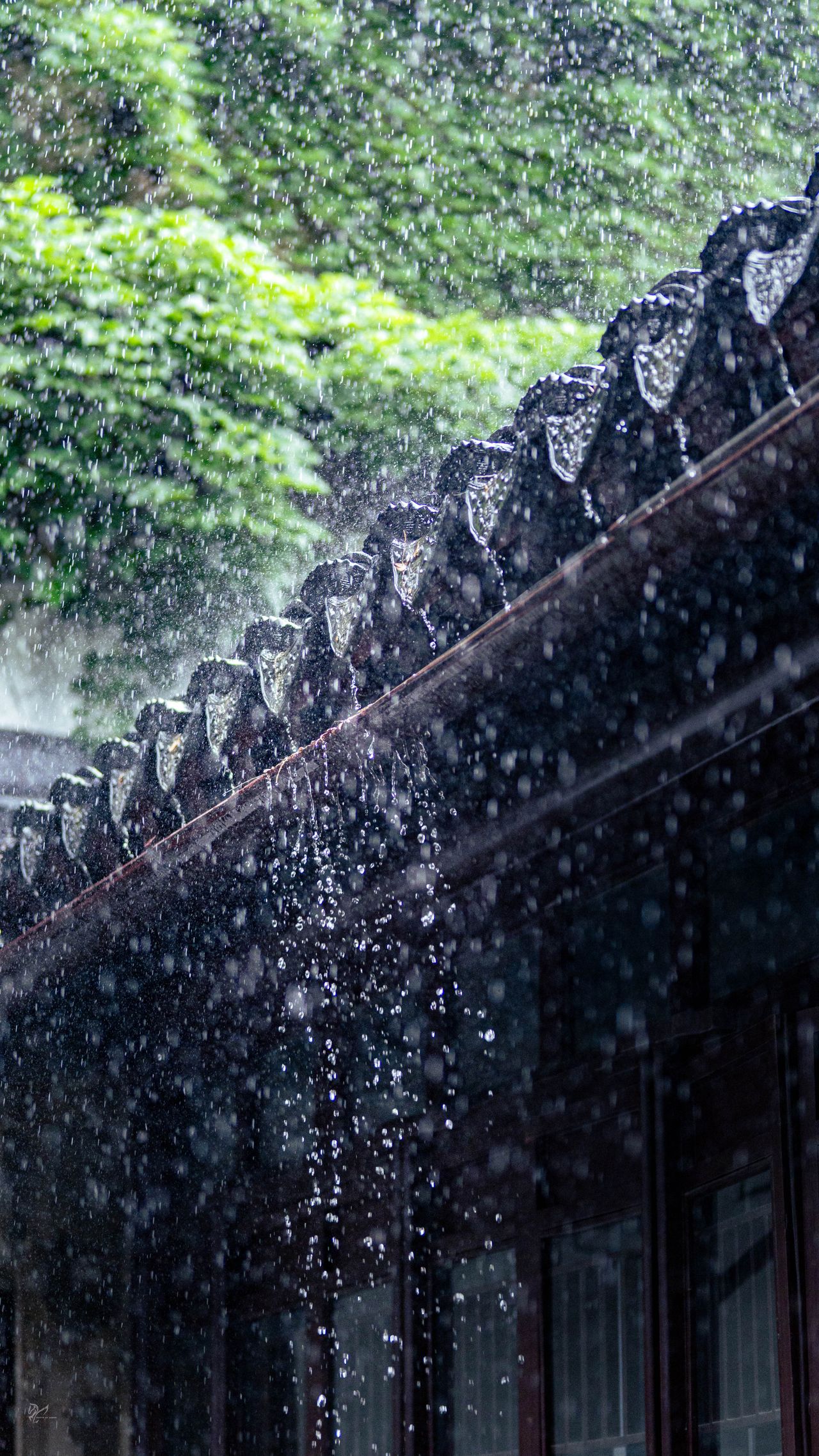 Monsoon 2026 Home Remedies To Boost Immunity