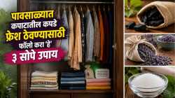 पावसाळ्यात कपडे खराब होण्याची भीती वाटतेय? कपाटातील दमटपणा दूर करण्यासाठी फॉलो करा ‘या’ ३ टिप्स