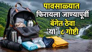 Monsoon Travel Tips 2026
