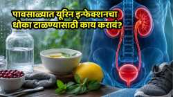 पावसाळ्यात वाढतो यूरिन इन्फेक्शनचा धोका; किडनी सुरक्षित ठेवण्यासाठी डॉक्टरांनी दिले ‘हे’ ५ सल्ले