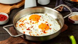 benefits of eating eggs daily