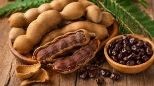 Tamarind seed is more beneficial for health
