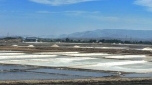 Mira Bhayander Salt Pan Land Dispute | Shilotri Salt Producers Claims Maharashtra | Mumbai High Court Salt Land Verdict | Ashok Patil Shilotri Seva Sangh